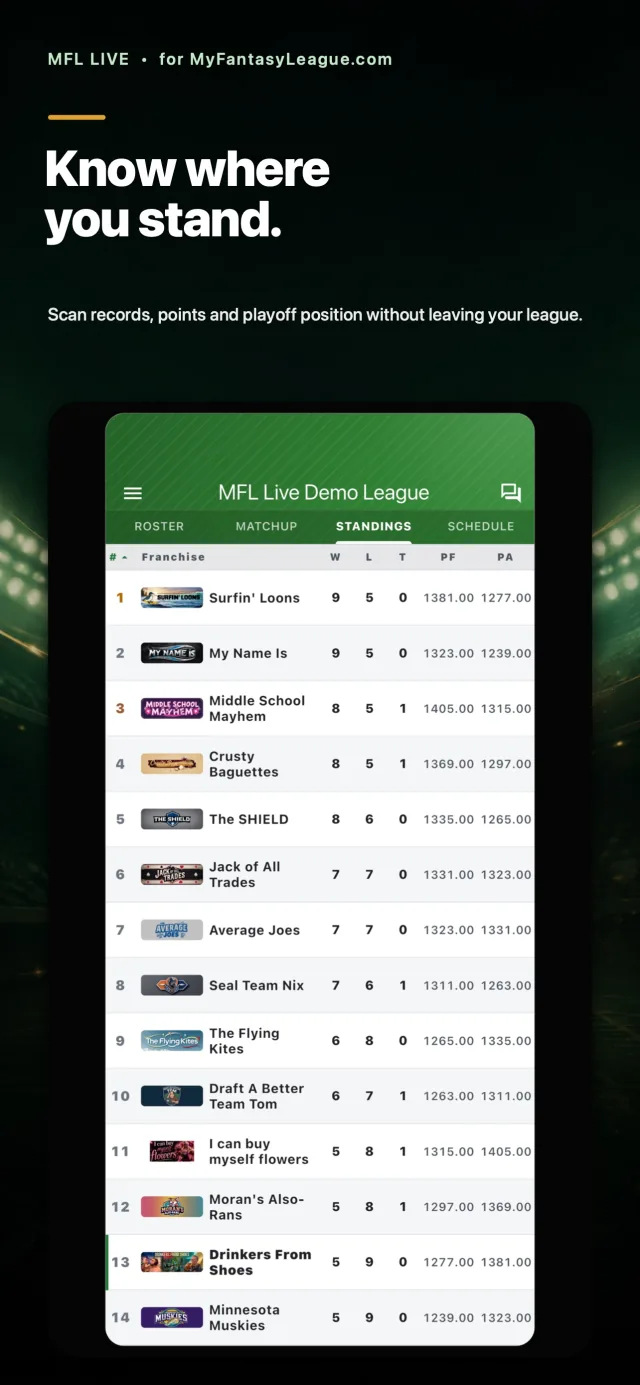 Fantasy league standings with franchise records, points, and ranked playoff position